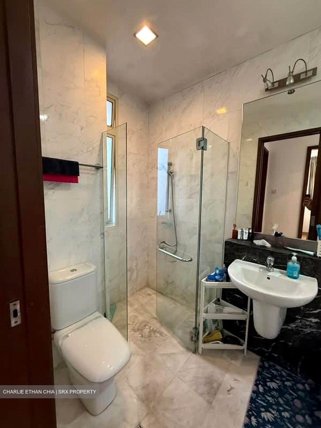 Mandale Heights (D11), Apartment #605941181